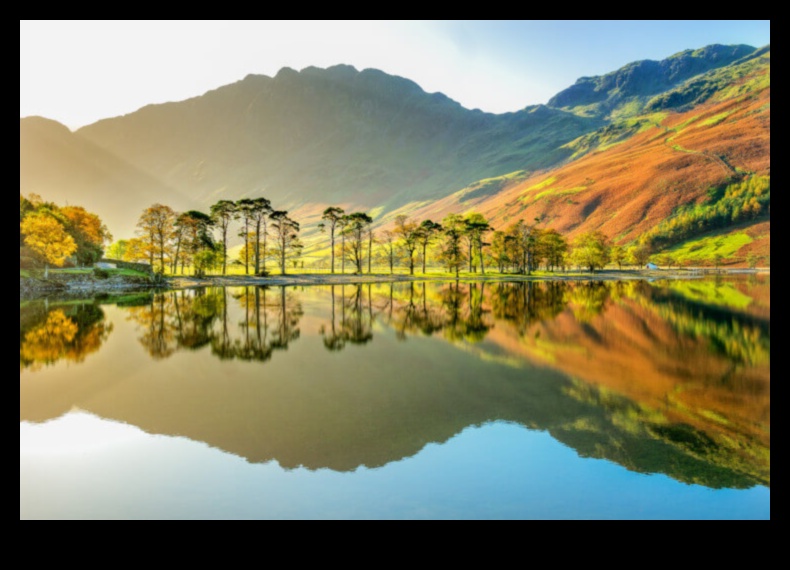 الصفاء على ضفاف البحيرة: استكشاف مناظر البحيرة الهادئة