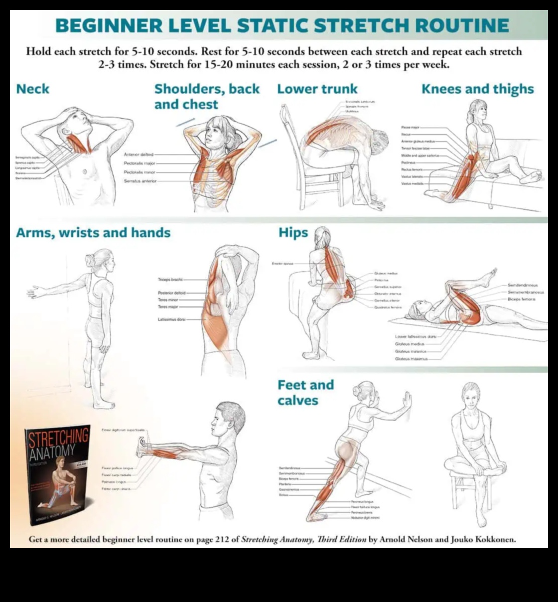 تمتد الإتقان: صياغة روتين المرونة الشخصية الخاصة بك