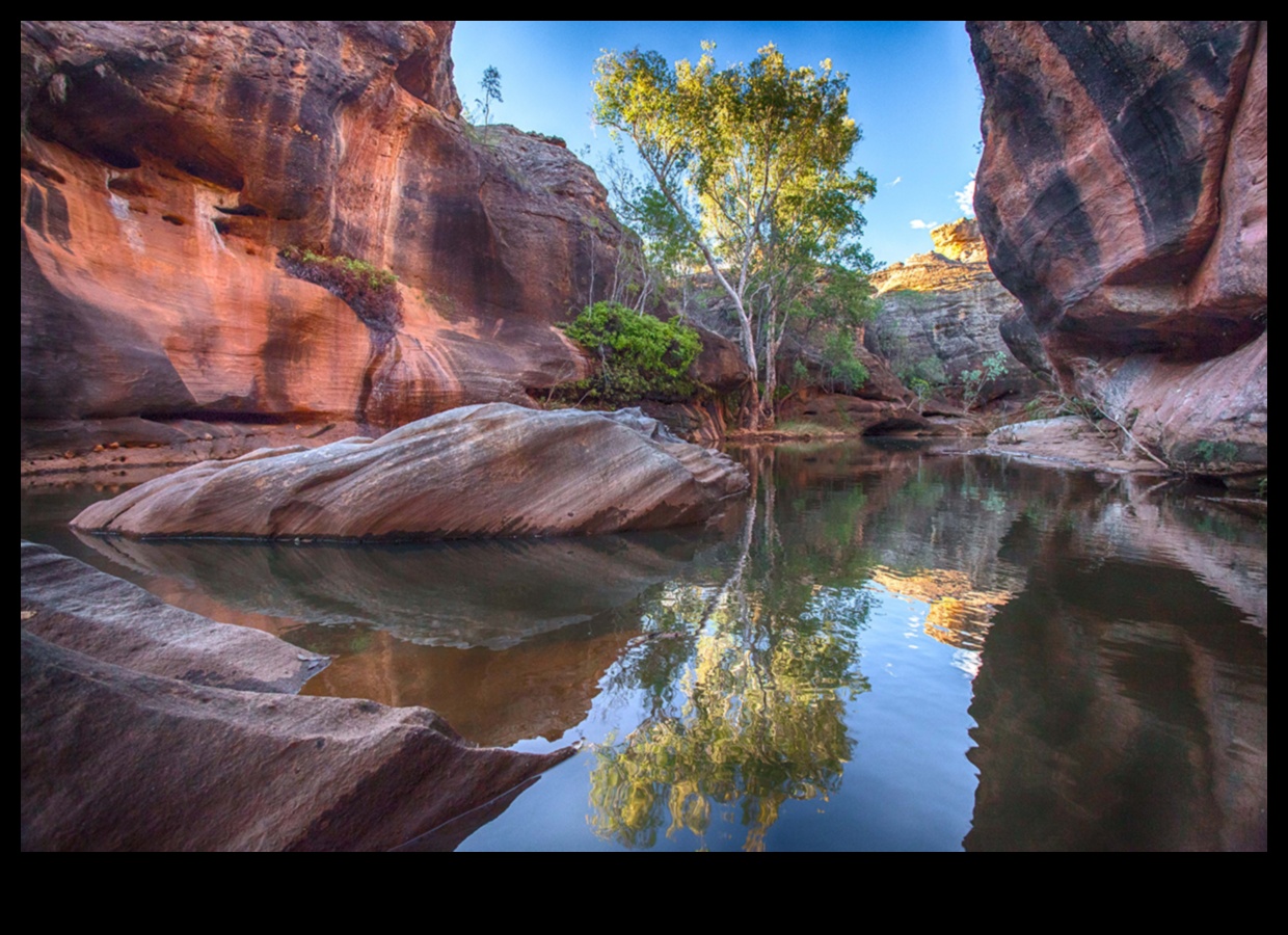 المحميات البيئية: ملاذات الطبيعة الآمنة