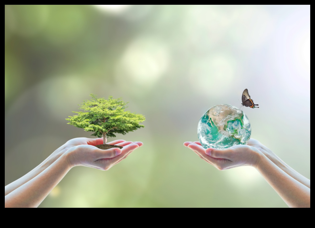 مناطق حفظ التنوع البيولوجي: حماية تنوع الحياة