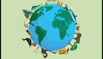 مناطق حفظ التنوع البيولوجي: حماية تنوع الحياة