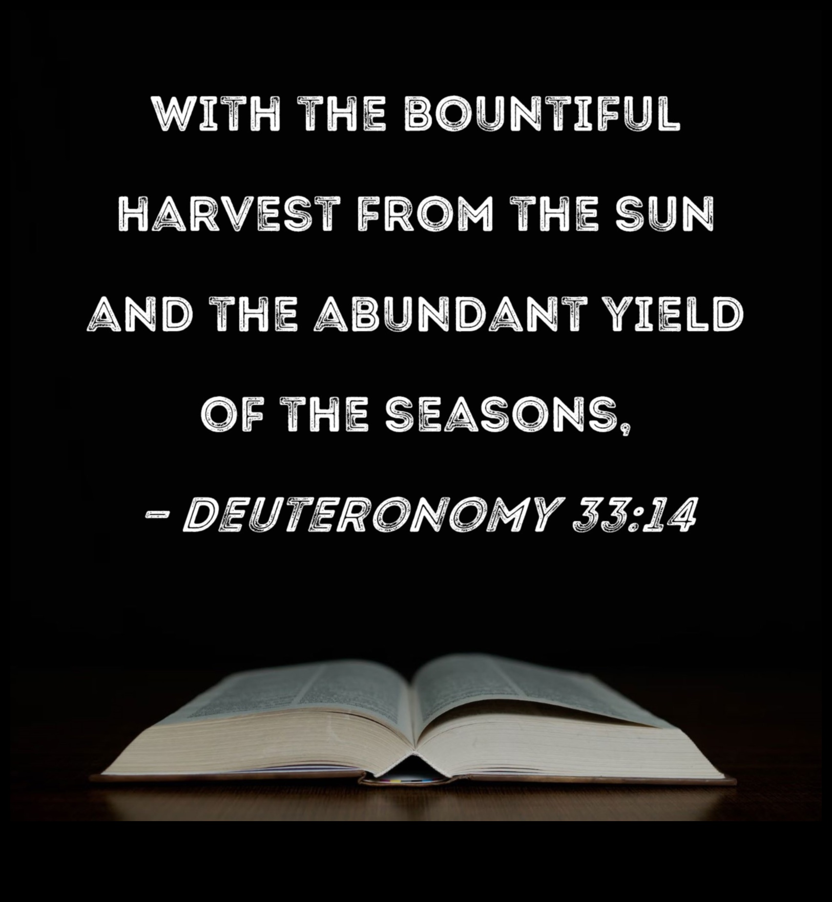 سعادة الحصاد: الحرف اليدوية لسقوط وفير