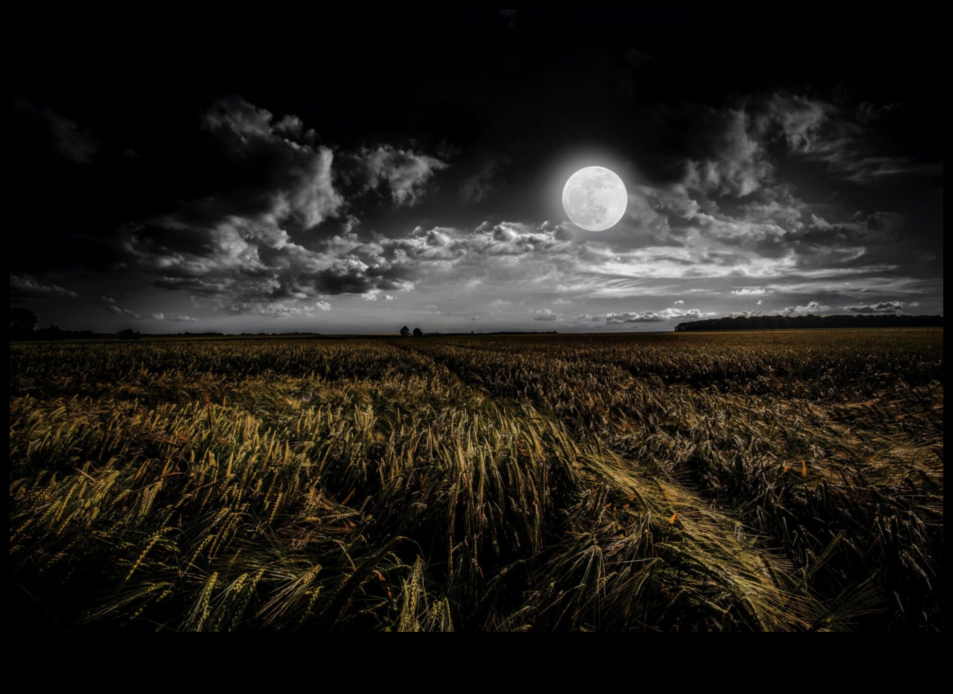 سعادة الحصاد: الحرف اليدوية لسقوط وفير