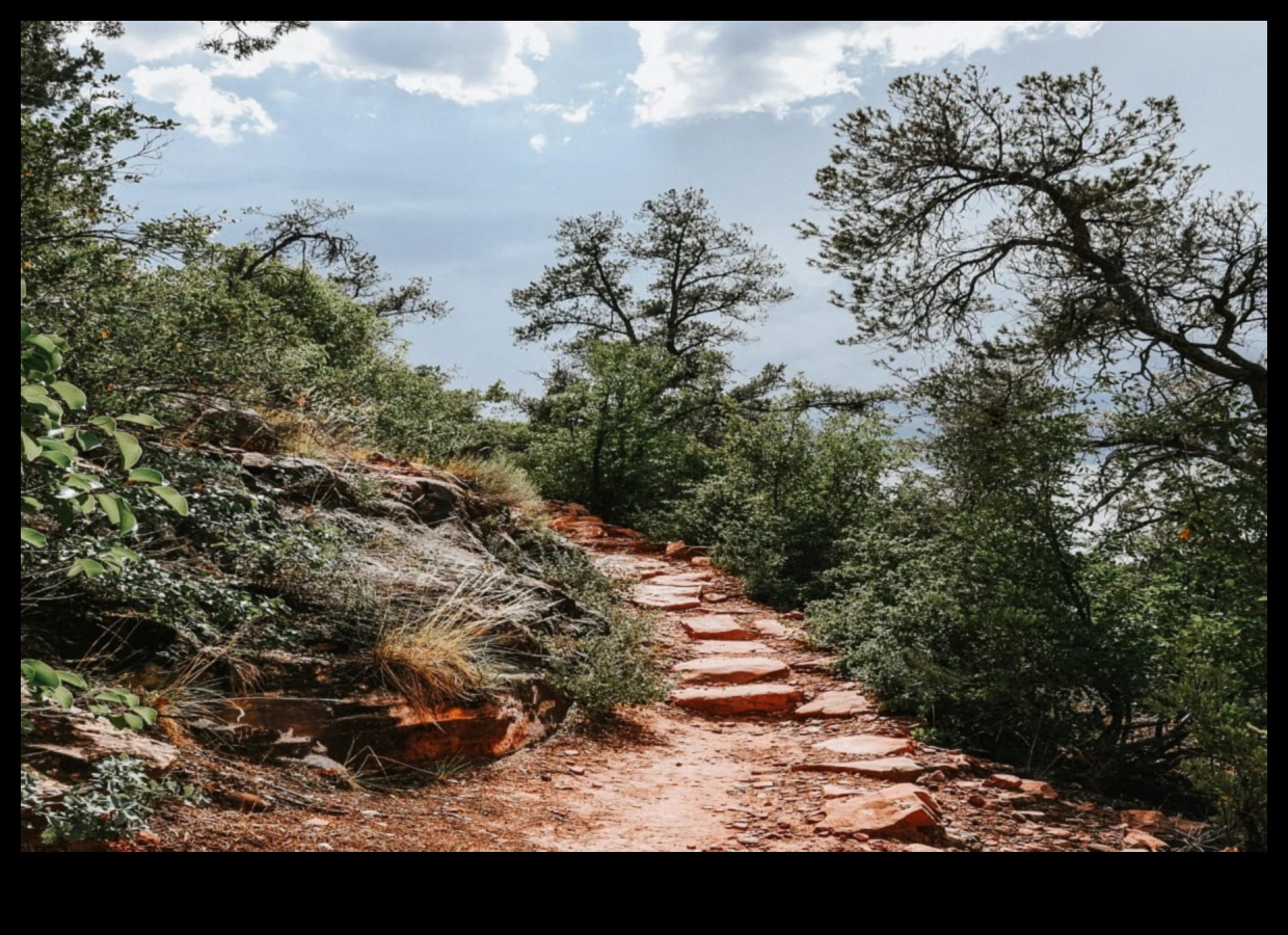 خطوة إلى الطبيعة: التدريبات في الهواء الطلق لإعادة الاتصال بالأرض