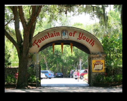 ميزات المياه الحضرية: النوافير والبرك في مناظر المدينة