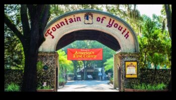 ميزات المياه الحضرية: النوافير والبرك في مناظر المدينة