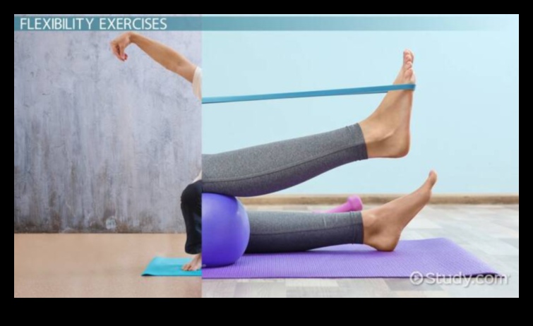 أساسيات المرونة: بناء أساس للحياة الرشيقة