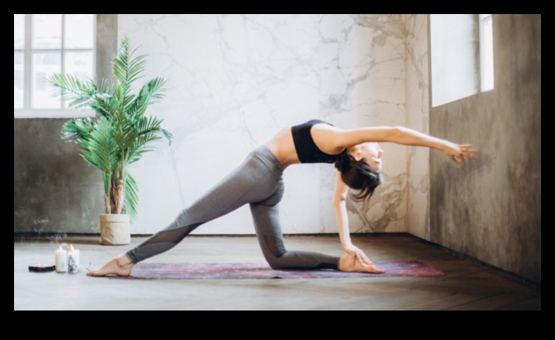 أساسيات المرونة: بناء أساس للحياة الرشيقة