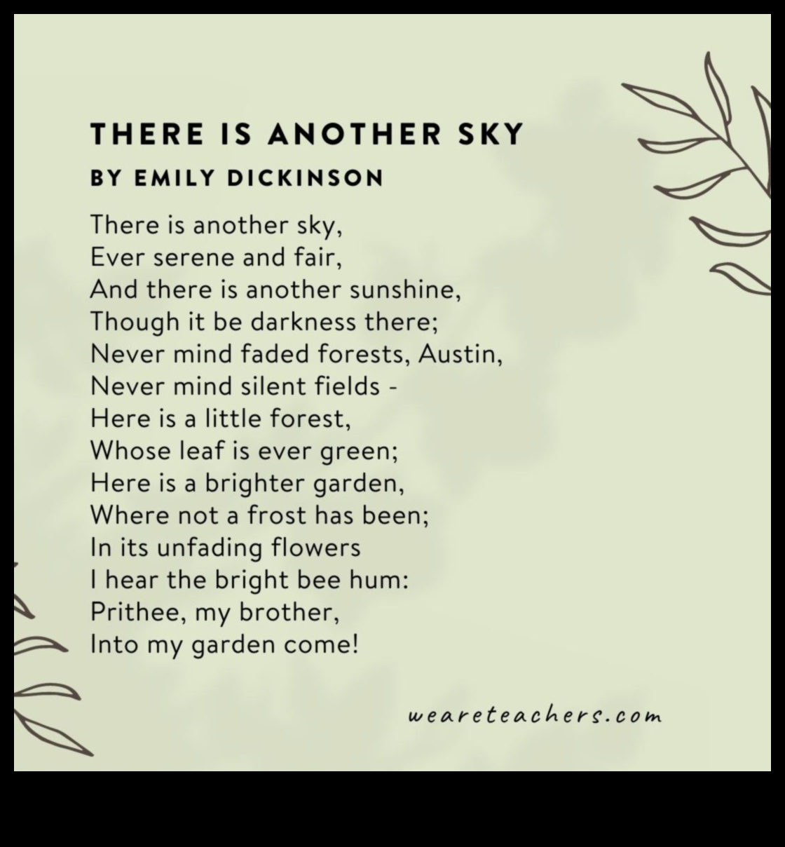 الخيال الشعري: أبيات مستوحاة من جمال المناظر الطبيعية