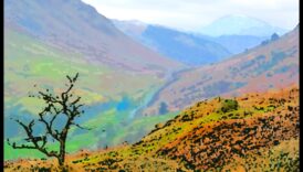 الخيال الشعري: أبيات مستوحاة من جمال المناظر الطبيعية