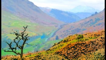 الخيال الشعري: أبيات مستوحاة من جمال المناظر الطبيعية