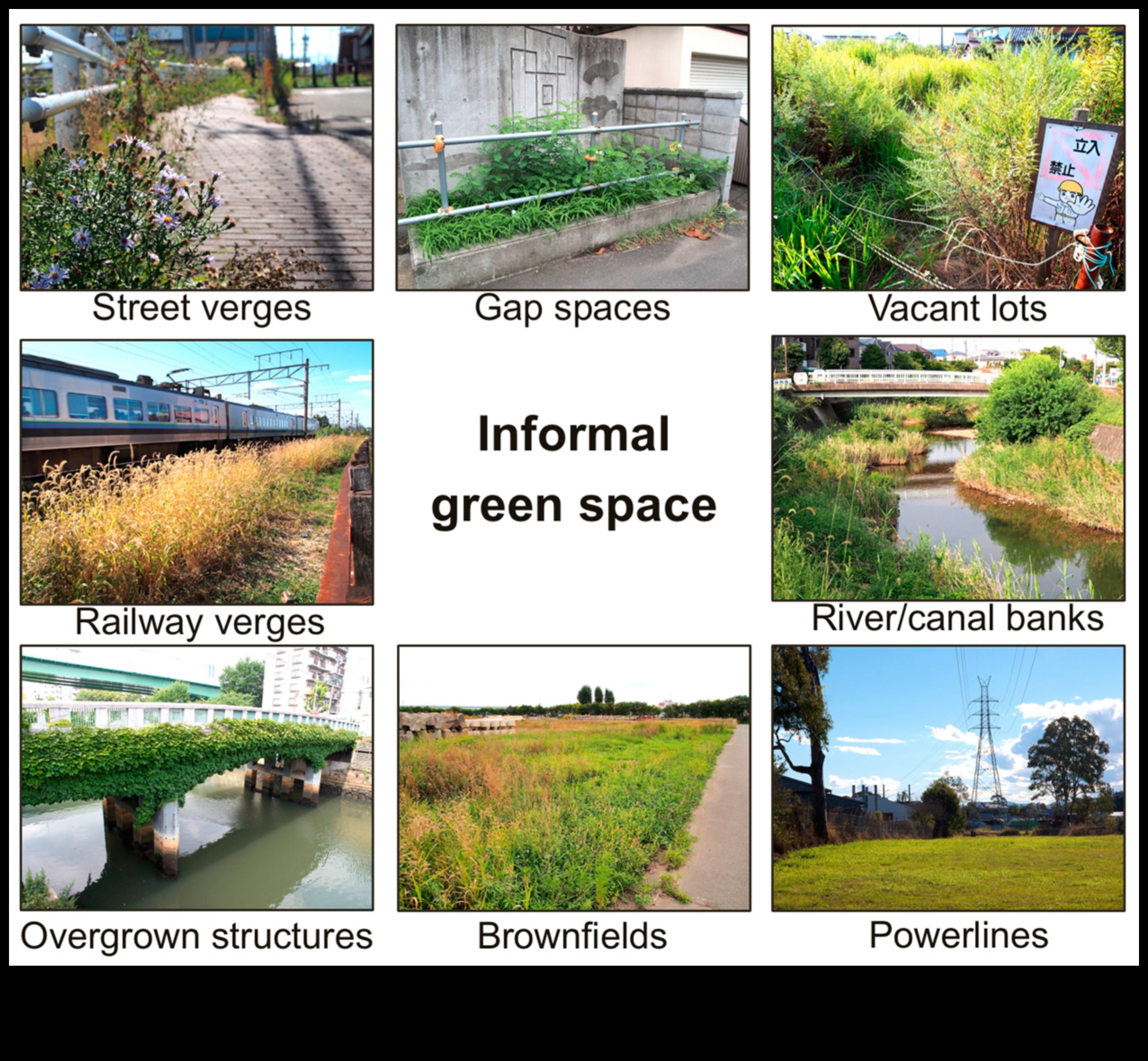 البرية الحضرية: تمارين في الهواء الطلق في قلب المدينة
