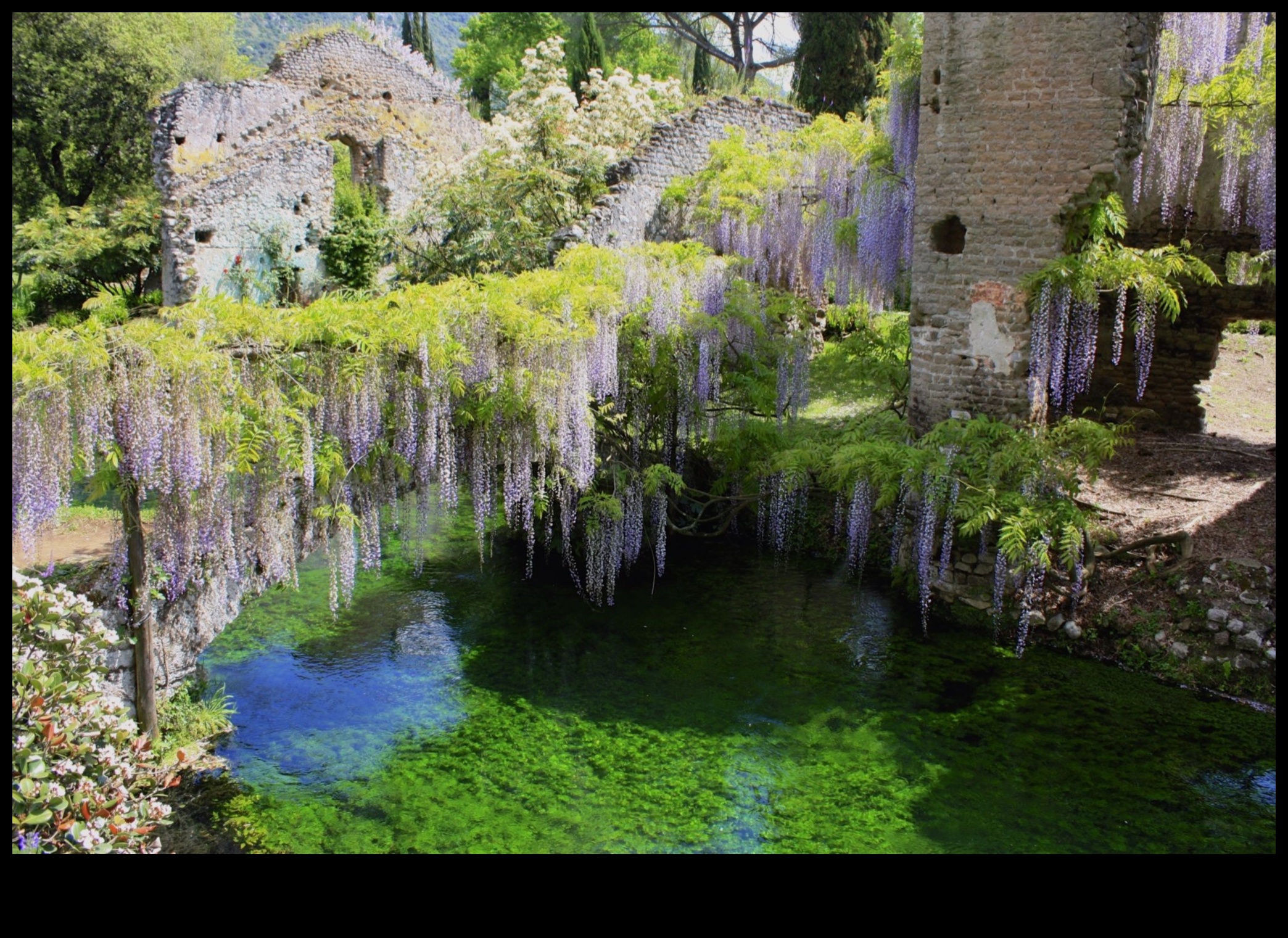 الحدائق السرية: جواهر مخفية بين المساحات الخضراء