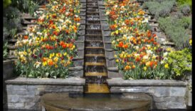 الحدائق السرية: جواهر مخفية بين المساحات الخضراء