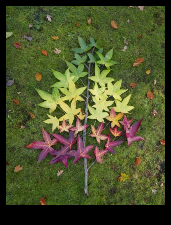 نحت الطبيعة: فن الأرض كتعبير