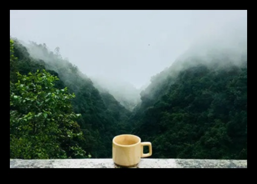 نعيم وقت الشاي: اكتشف الأناقة المهدئة للخلطات الآسيوية