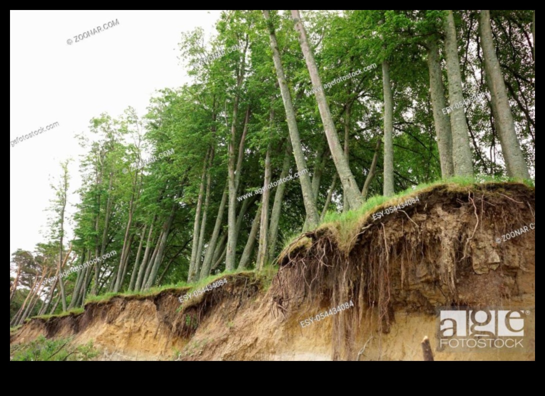 لماذا تكون بعض المناظر الطبيعية أكثر عرضة لتآكل التربة؟