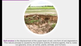 لماذا تكون بعض المناظر الطبيعية أكثر عرضة لتآكل التربة؟