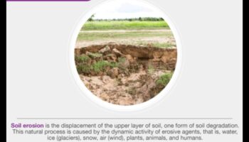 لماذا تكون بعض المناظر الطبيعية أكثر عرضة لتآكل التربة؟