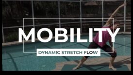 دمج التمدد الديناميكي: الجمع بين المرونة والحركة في عملية الإحماء