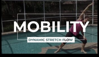 دمج التمدد الديناميكي: الجمع بين المرونة والحركة في عملية الإحماء