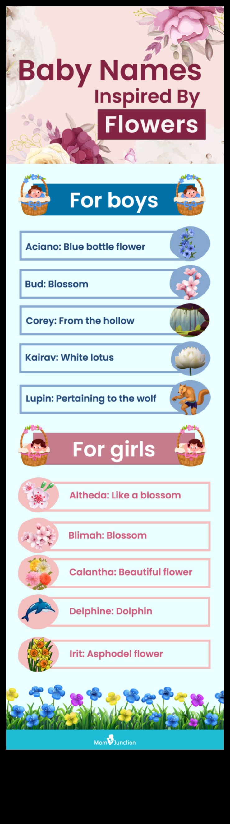 الكمال البتلة: أسماء الطفل زهرة رشيقة وأنيقة