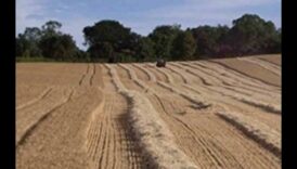 هاملت هافينز 2: آفاق ساحرة للقرى والمدن في جميع أنحاء العالم