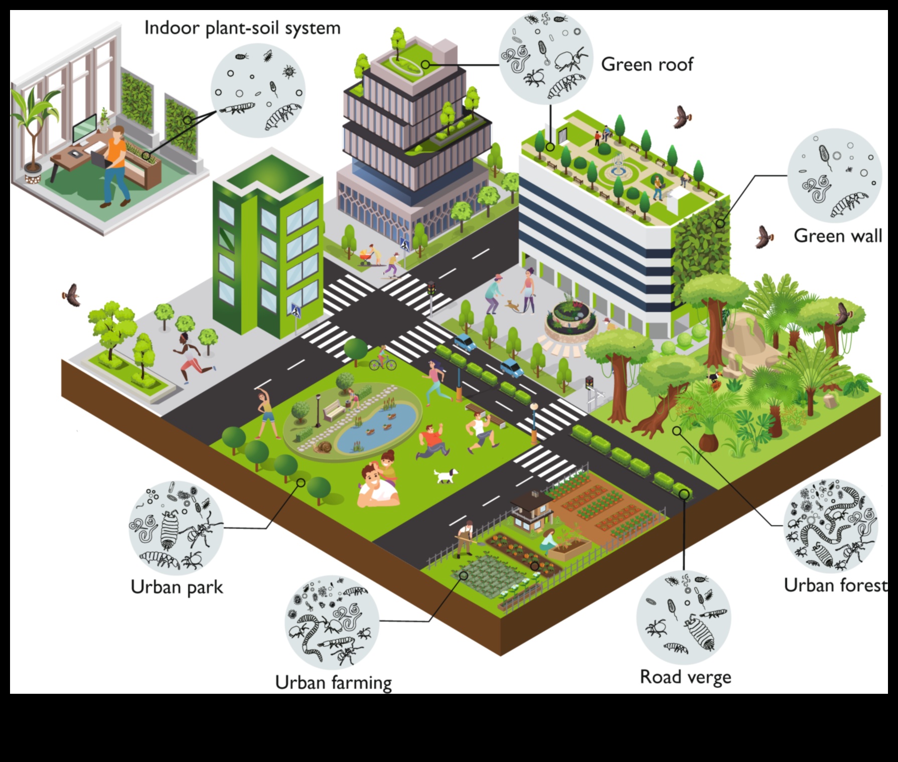 التنوع البيولوجي الحضري: الحياة البرية وسط مناظر المدينة