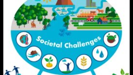 التنوع البيولوجي الحضري: الحياة البرية وسط مناظر المدينة