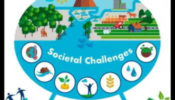 التنوع البيولوجي الحضري: الحياة البرية وسط مناظر المدينة