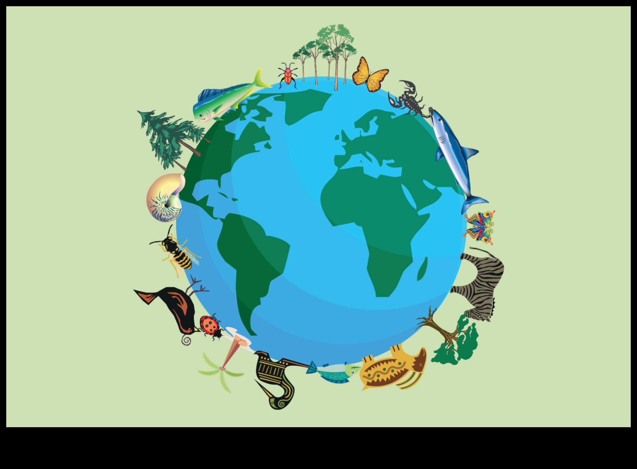 مناطق حفظ التنوع البيولوجي: حماية تنوع الحياة